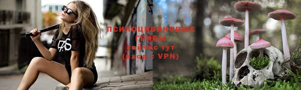 соль ск Алзамай