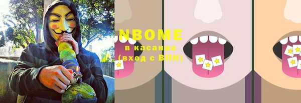 соль ск Алзамай