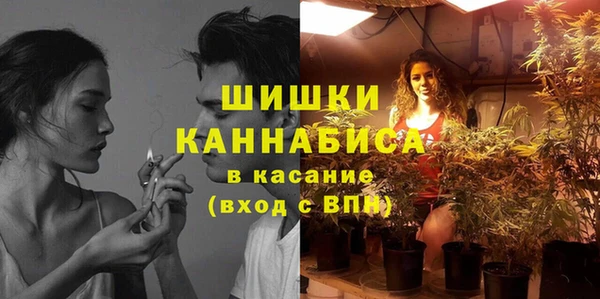 соль ск Алзамай