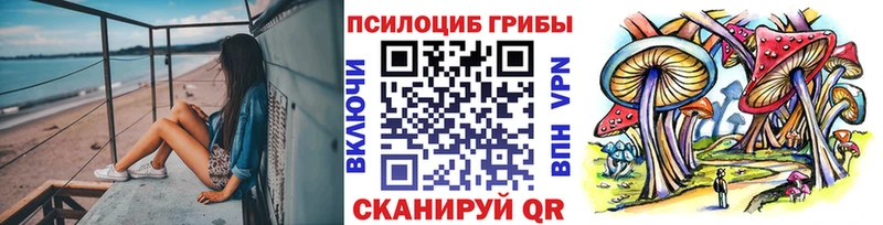 Галлюциногенные грибы Psilocybe  Балашов 